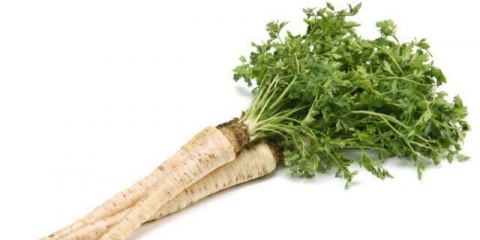 Korijen peršuna: kako sačuvati za zimnicu, pripreme, najbolji recepti